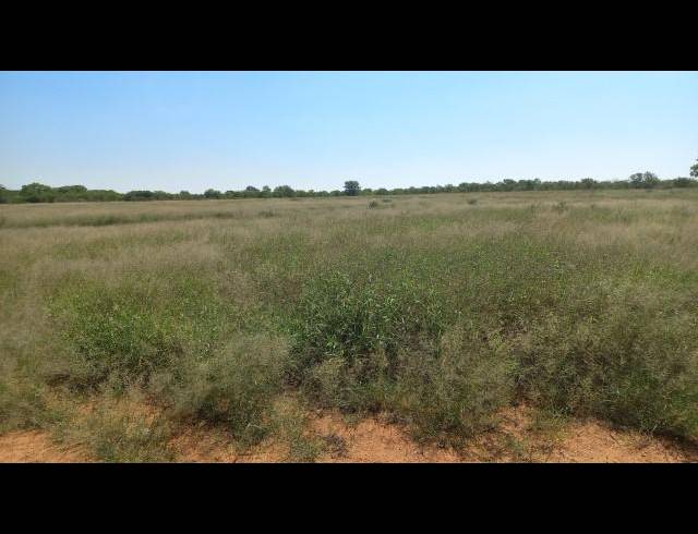 FARM FOR SALE IN MOPANE